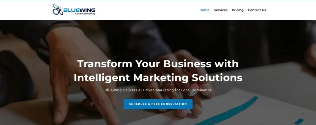 BlueWing Local Marketing website interface