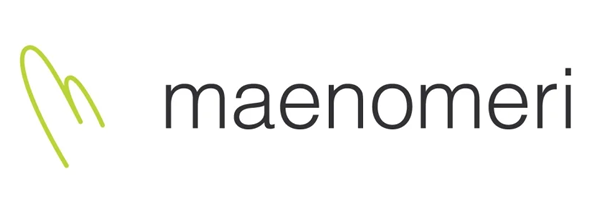 Maenomeri LLC Case study on GMB Briefcase